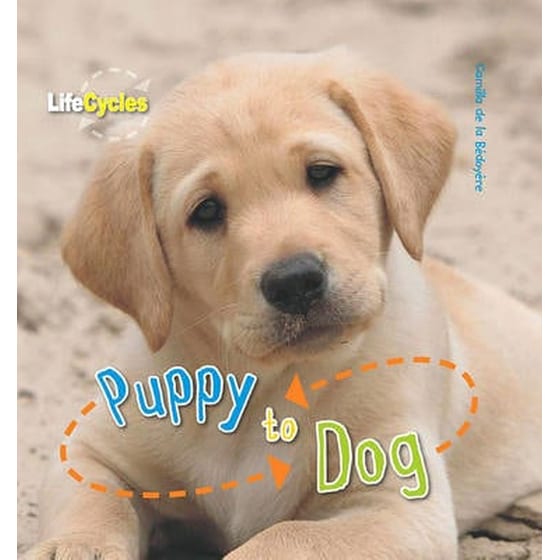 Life Cycles: Puppy to Dog image 0