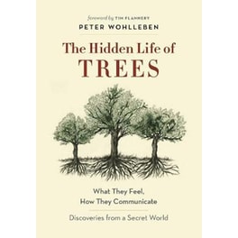 The Hidden Life of Trees