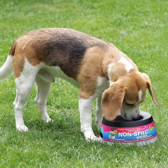 Ποτίστρα Road Refresher Large Για Κατοικίδια - Γκρι image 2