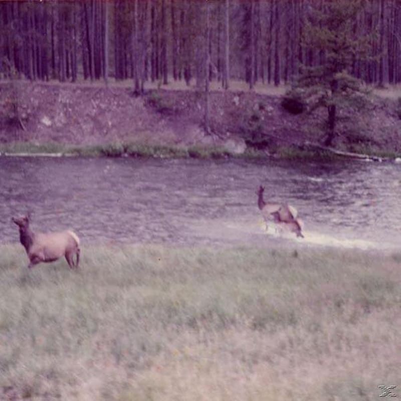 Winter Forever (Bone Silver Swirl Vinyl)