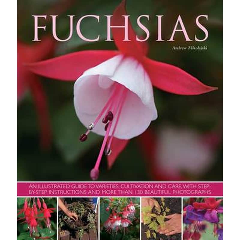 Fuchsias