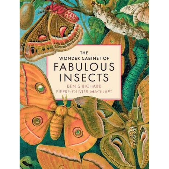 The Wonder Cabinet of Fabulous Insects image 0