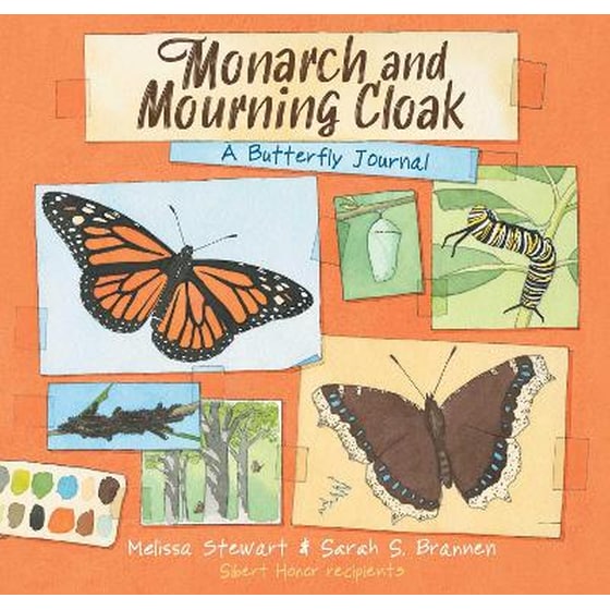 Monarch and Mourning Cloak image 0