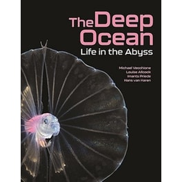 The Deep Ocean