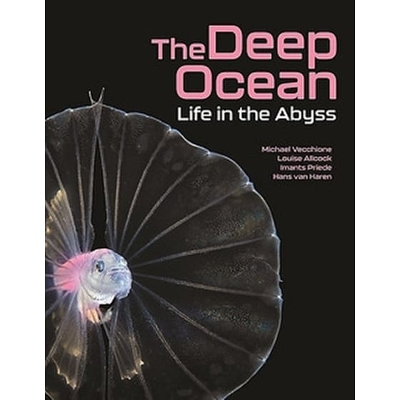 The Deep Ocean image 0
