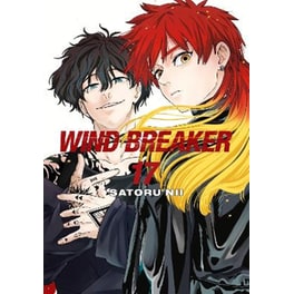 Wind Breaker, Vol. 17