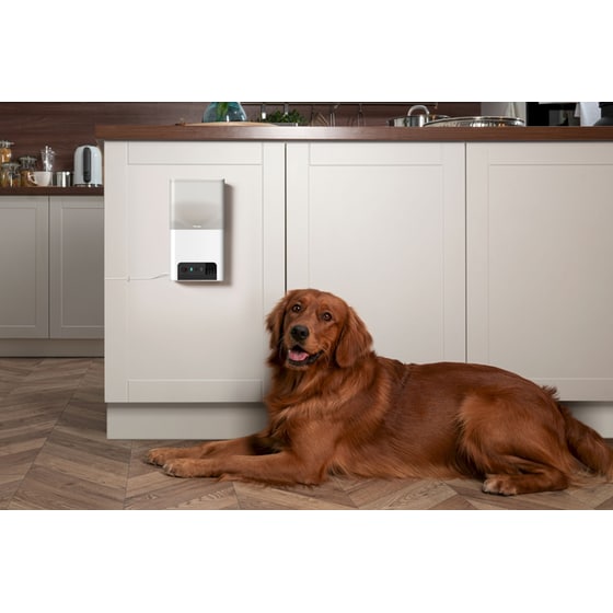 Petcube WRL Ταΐστα με Κάμερα για Κατοικίδια Bites 2 Lite image 6
