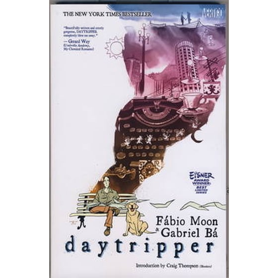 Daytripper image 0