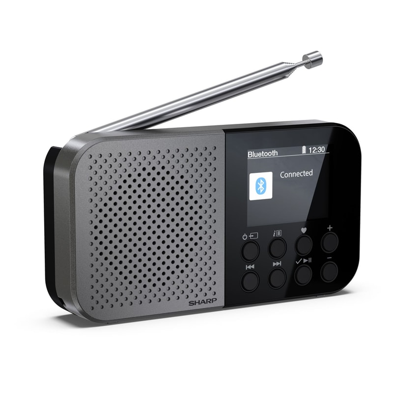 Φορητό Ράδιο Sharp DR-P520 - Γκρι