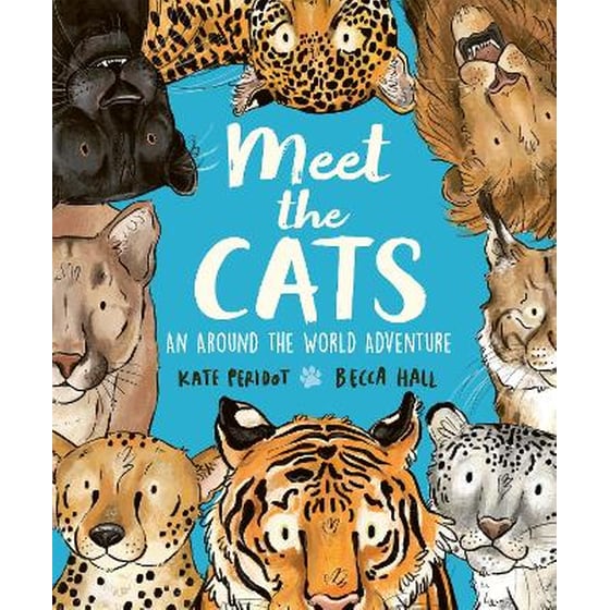 Meet the Cats image 0