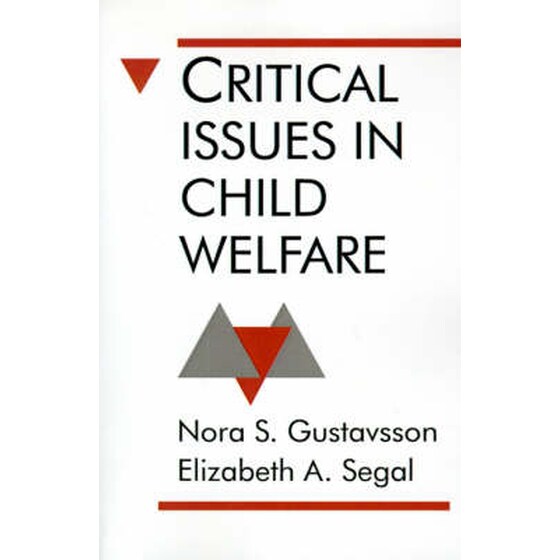 Critical Issues in Child Welfare image 0