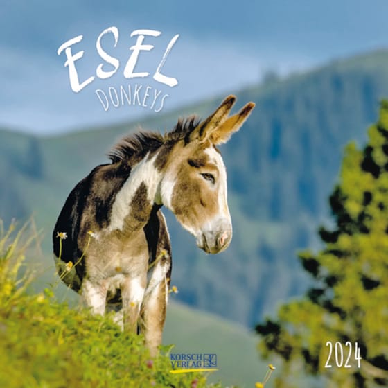 Ημερολόγιο Τοίχου Korsch Verlag 2024 Esel image 0