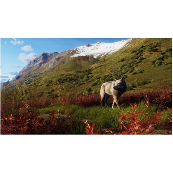 Way of the Hunter: Wild Expeditions - PS5 image 1