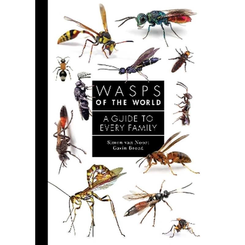 Wasps of the World