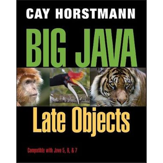 Big Java image 0