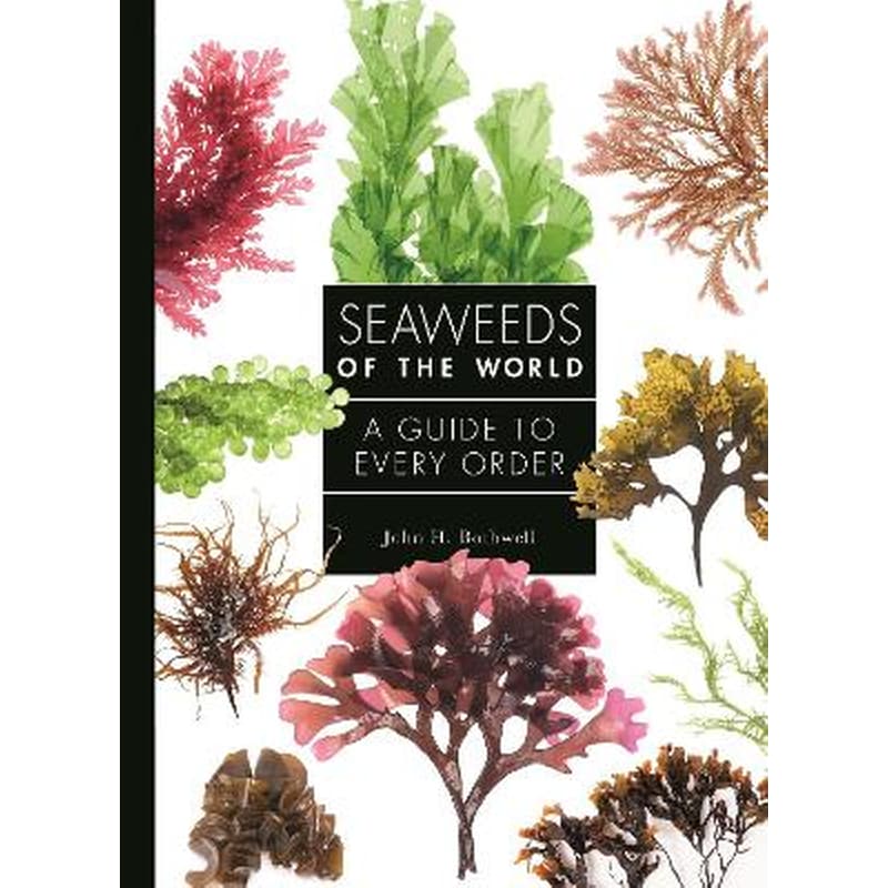 Seaweeds of the World