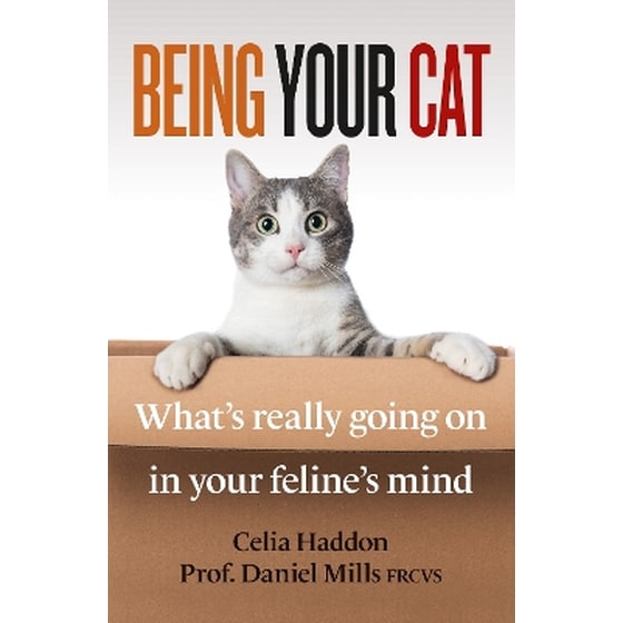 Being Your Cat image 0