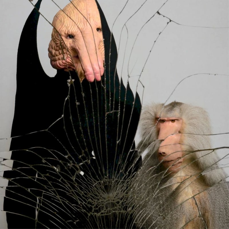 Speek You Little Re-Facee (Color LP 12)