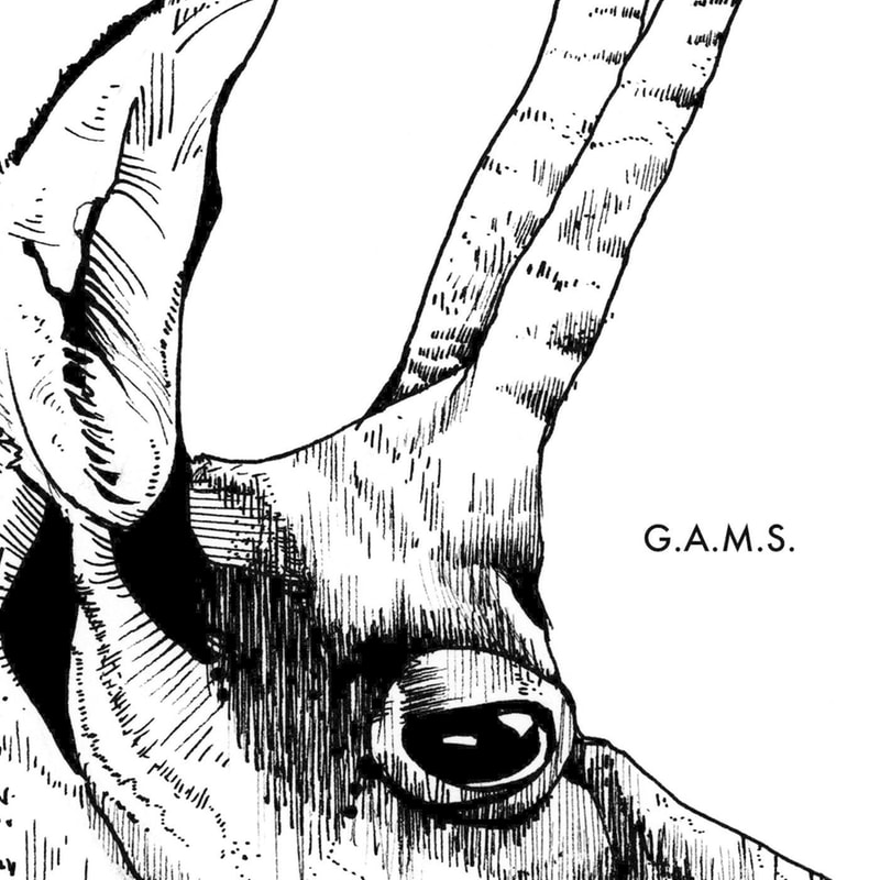 G.A.M.S.