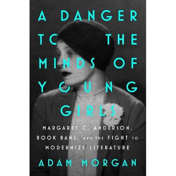 A Danger to the Minds of Young Girls image 0