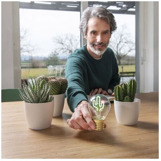 Λάμπα Γραφείου Legami Σχέδιο Cactus image 5