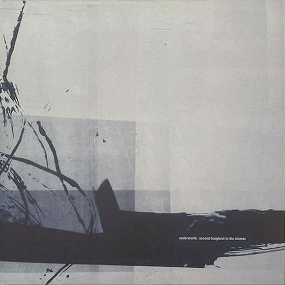 Second Toughest In The Infants (2LP) image 0