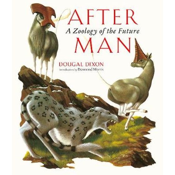After Man image 0