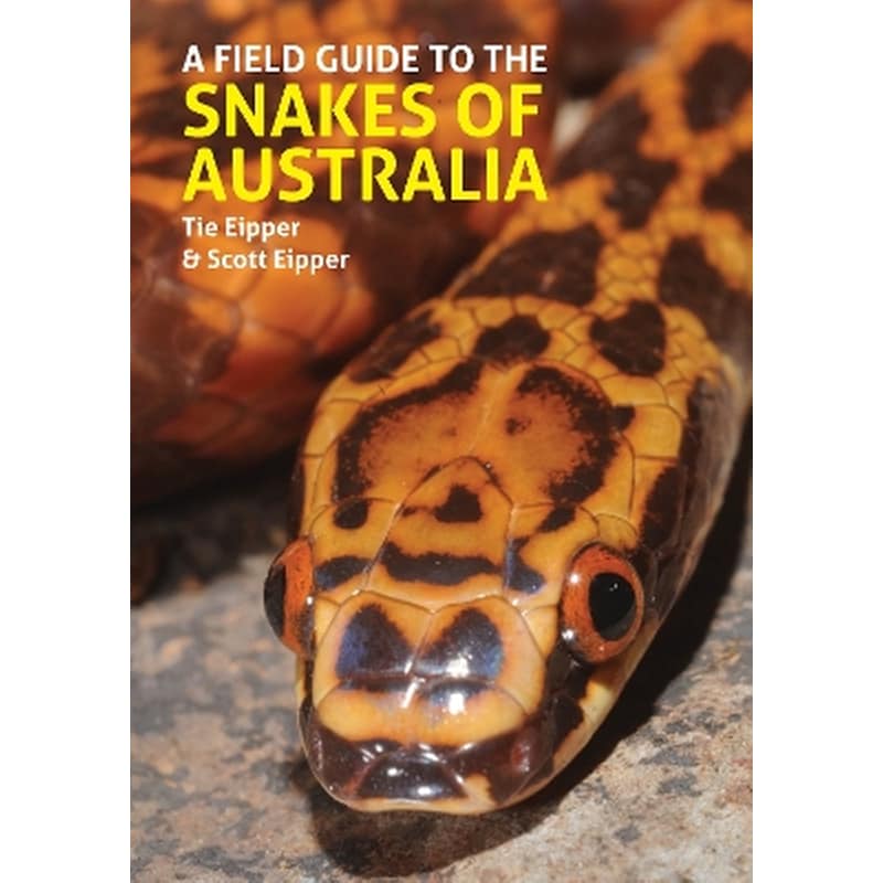 A Field Guide to the Snakes of Australia
