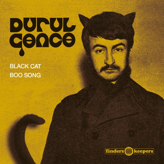 Black Cat image 0