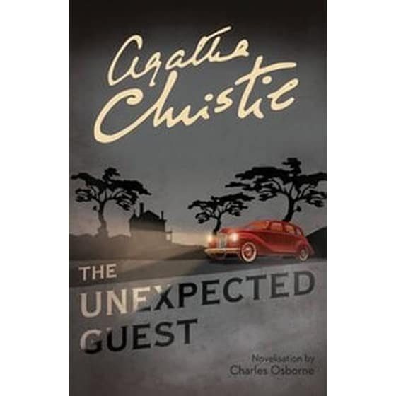 The Unexpected Guest image 0