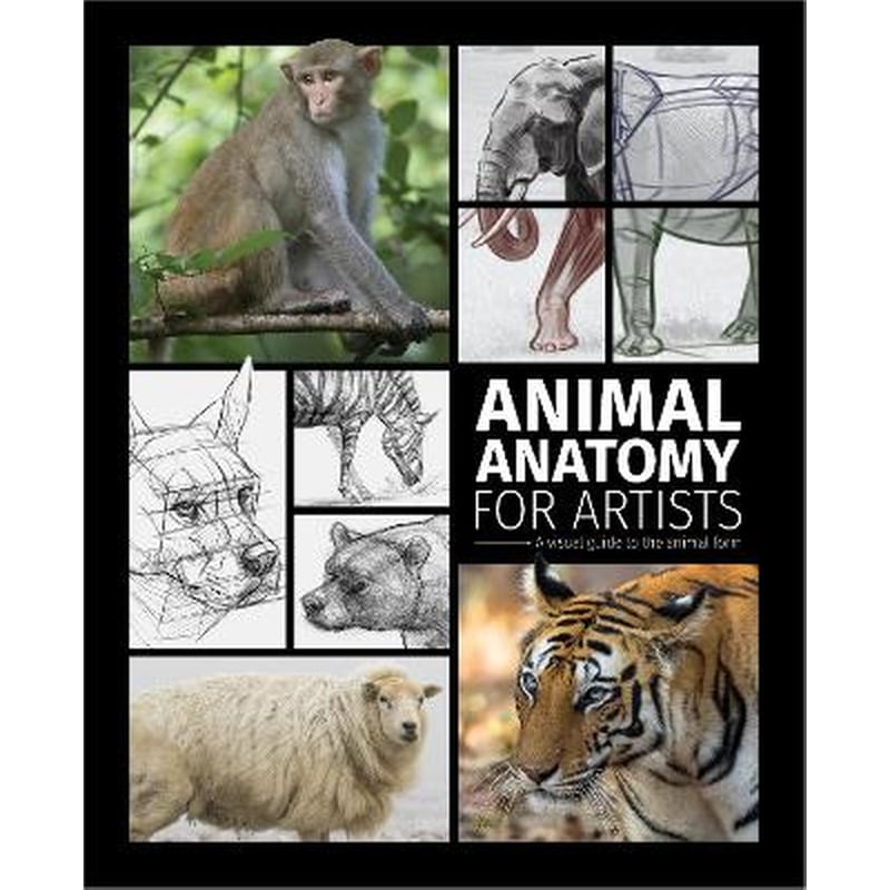 Animal Anatomy for Artists