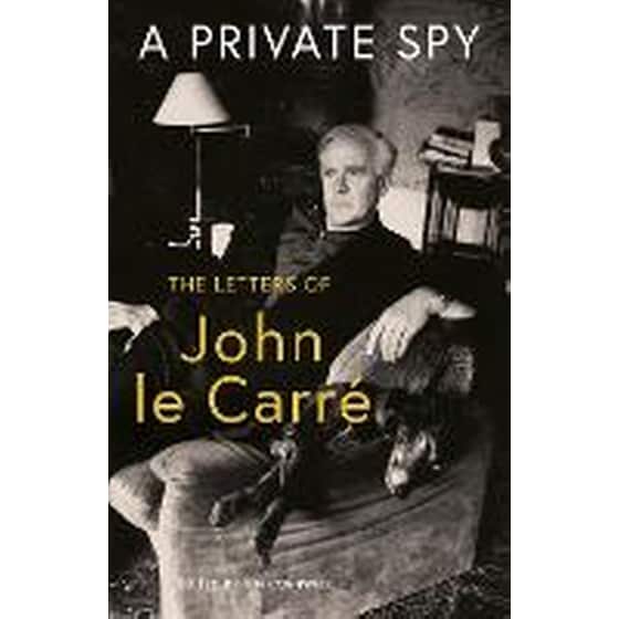 Private Spy image 0