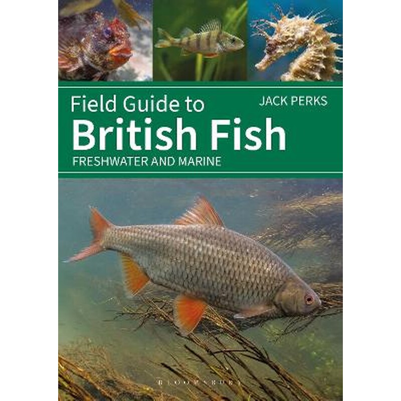 Field Guide to British Fish