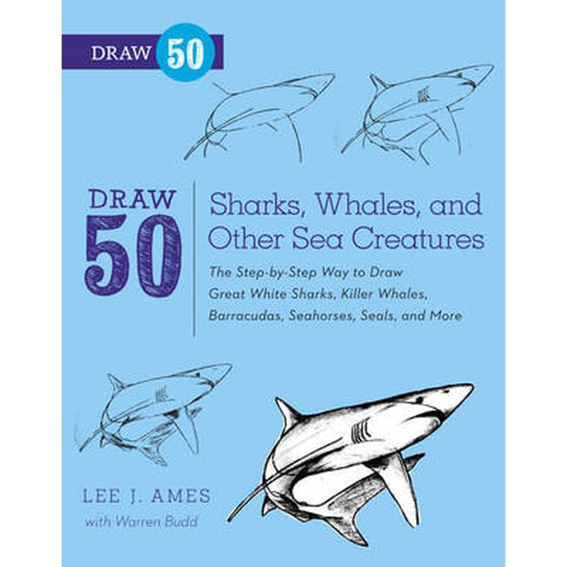 Draw 50 Sharks, Whales, and Other Sea Creatures