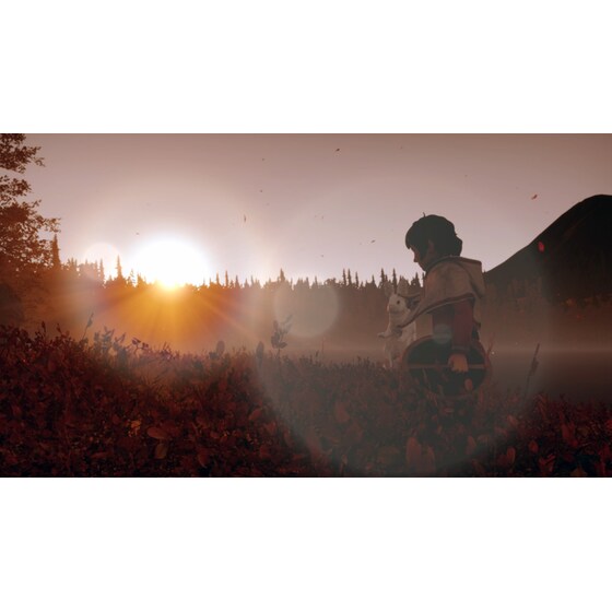 Skabma: Snowfall - PS4 image 15