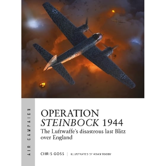 Operation Steinbock 1944 image 0