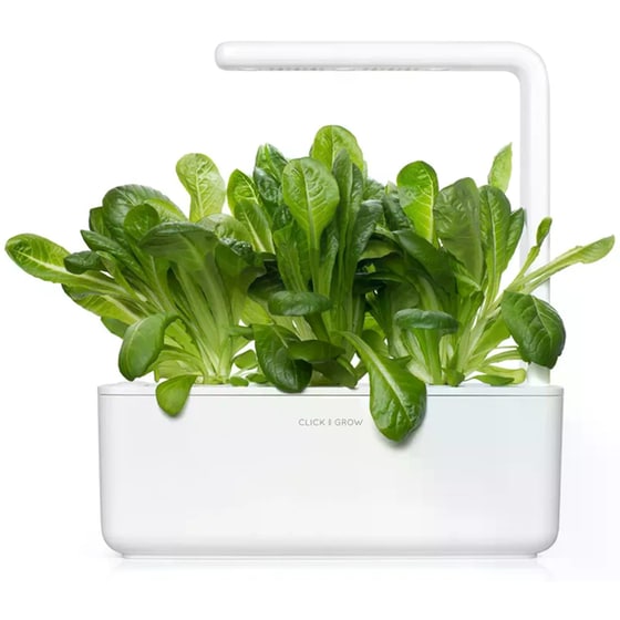 Κάψουλες Click and Grow 3 Τμχ - Μαρούλι Romaine image 3