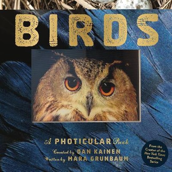 Birds image 0