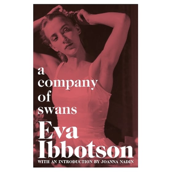 A Company of Swans image 0