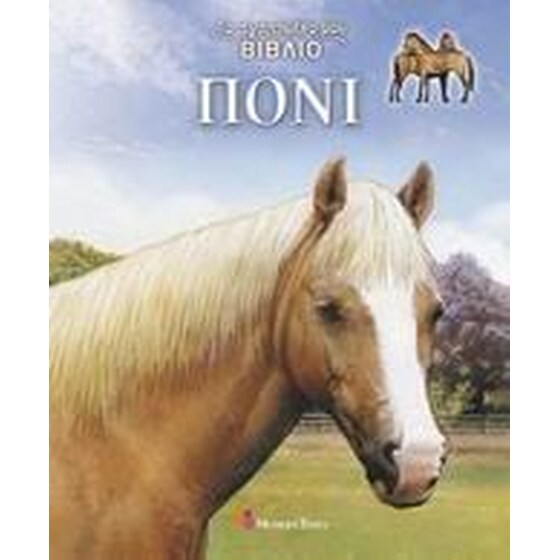 Πόνι image 0