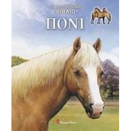 Πόνι