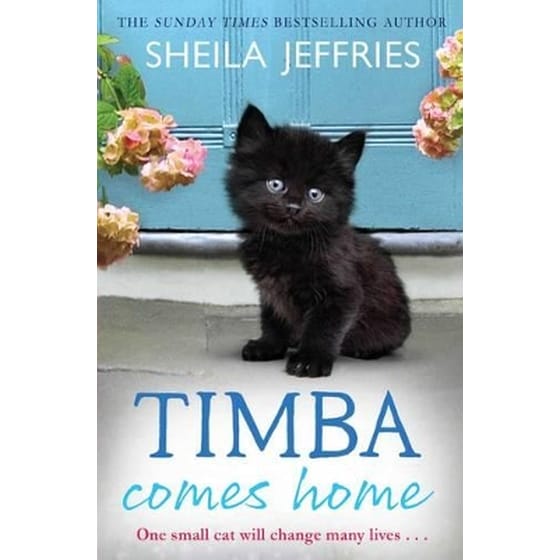 Timba Comes Home image 0