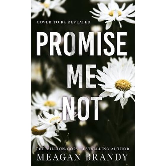Promise Me Not image 0