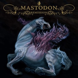 Remission (LP)