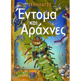 Έντομα και αράχνες