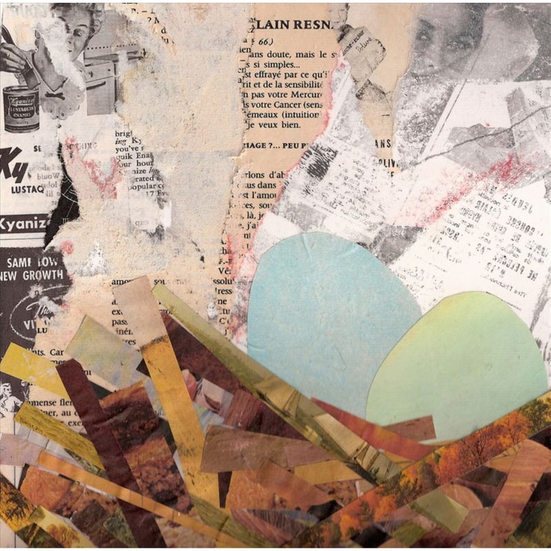 Nests (Limited Honey Golden Vinyl, Indies Only)