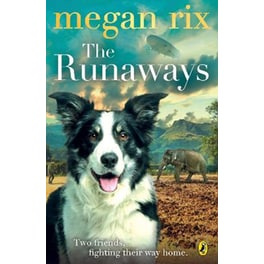 The Runaways Book 6