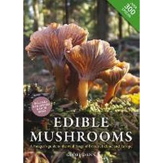 Edible Mushrooms image 0
