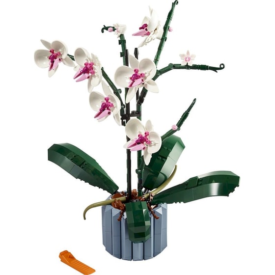 LEGO® Botanicals Ορχιδέα (10311) image 5