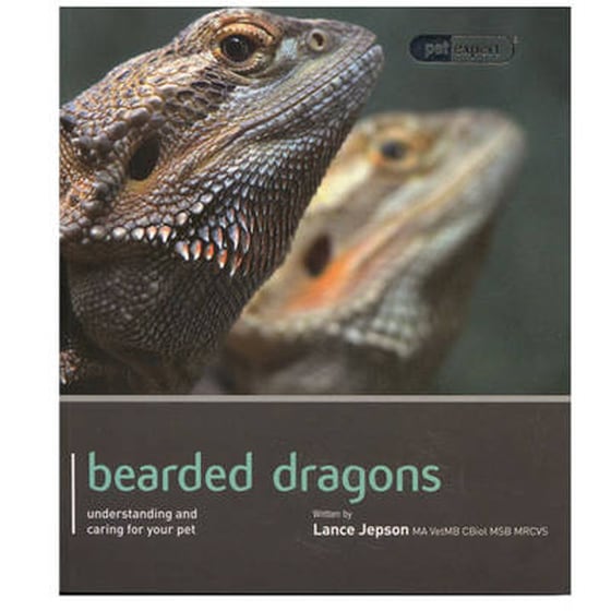 Bearded Dragon - Pet Expert image 0